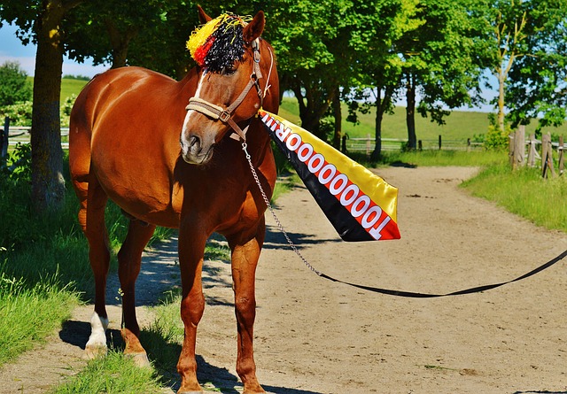 则要明朗得 则要明朗得