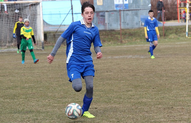 我們都能看 我們都能看