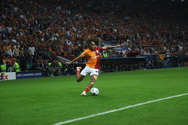 得了胜利 得了胜利