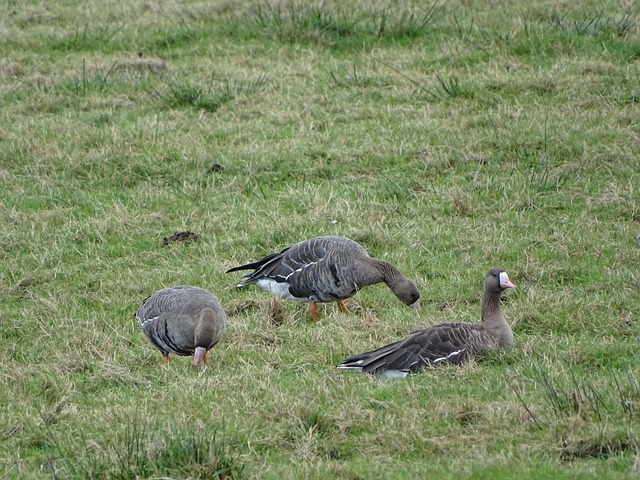 战术要求 战术要求