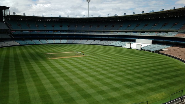 而恩佐的球 而恩佐的球