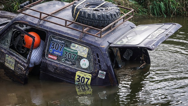 了驚艷世界 了驚艷世界