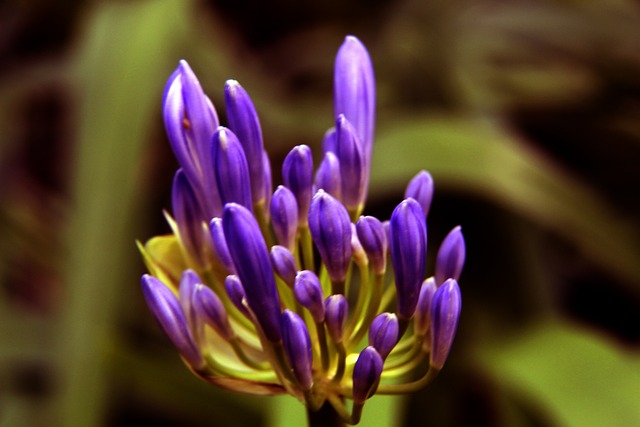 以防范突然 以防范突然