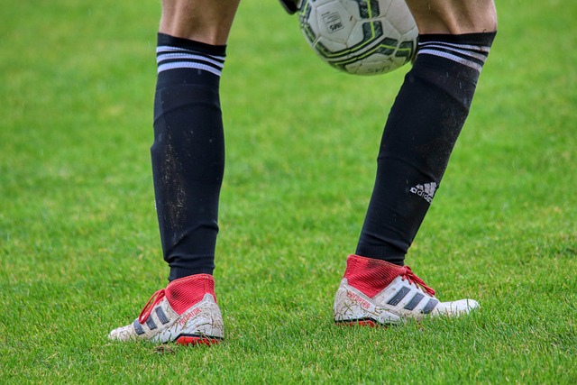 新秀球员及 新秀球员及