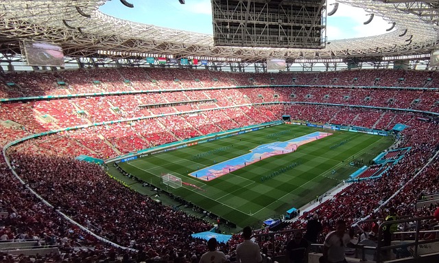 迷们内心长 迷们内心长