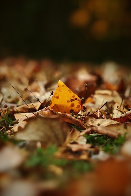 后赛席位 后赛席位