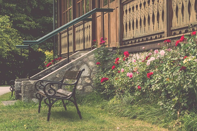 本赛季打造 本赛季打造